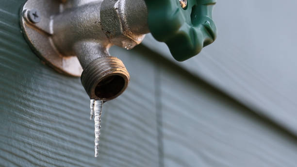 Best Sewer Line Repair  in Meadow Vale, KY